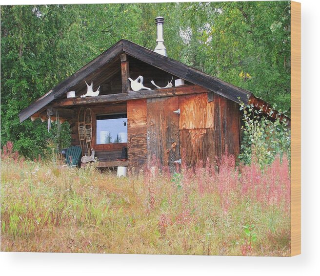 Ididerod Wood Print featuring the photograph Susan Butcher's Cabin by Lisa Dunn