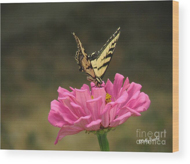 Insect Wood Print featuring the photograph Swallowtail on a Zinnia by Debby Pueschel