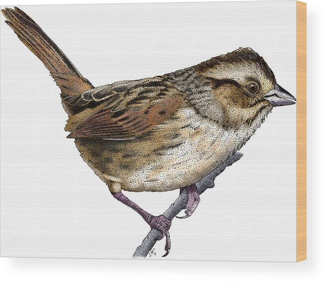 Illustration Wood Print featuring the photograph Swamp Sparrow by Roger Hall