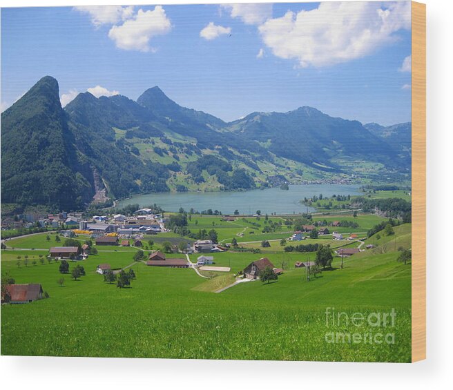 Alps Wood Print featuring the photograph Swiss Landscape by Amanda Mohler