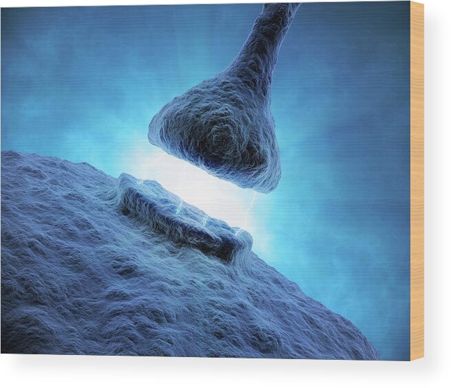 Two Objects Wood Print featuring the digital art Synapse, Artwork by Science Photo Library - Andrzej Wojcicki