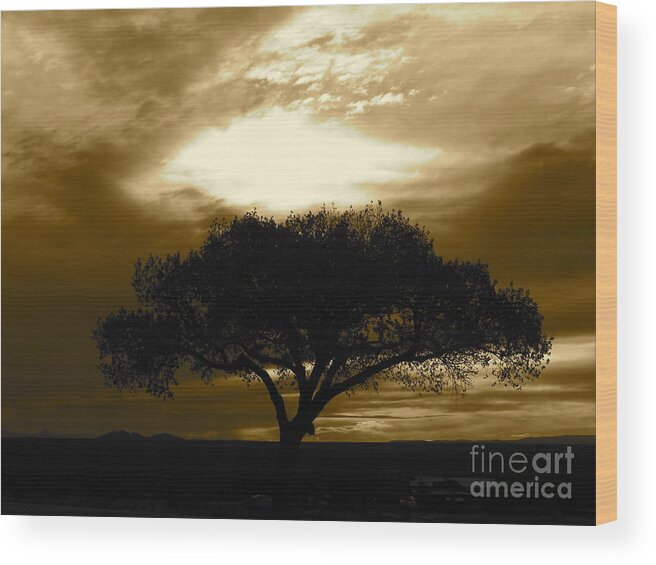 Tree Wood Print featuring the photograph Taos Tree by LeLa Becker