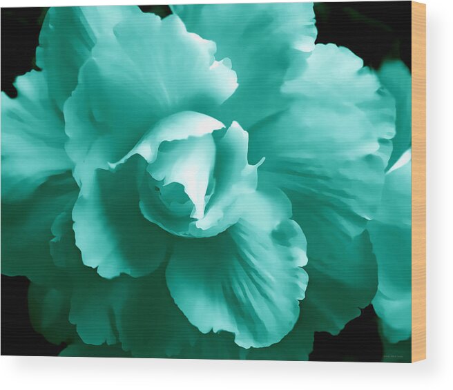 Begonia Wood Print featuring the photograph Teal Green Begonia Floral by Jennie Marie Schell