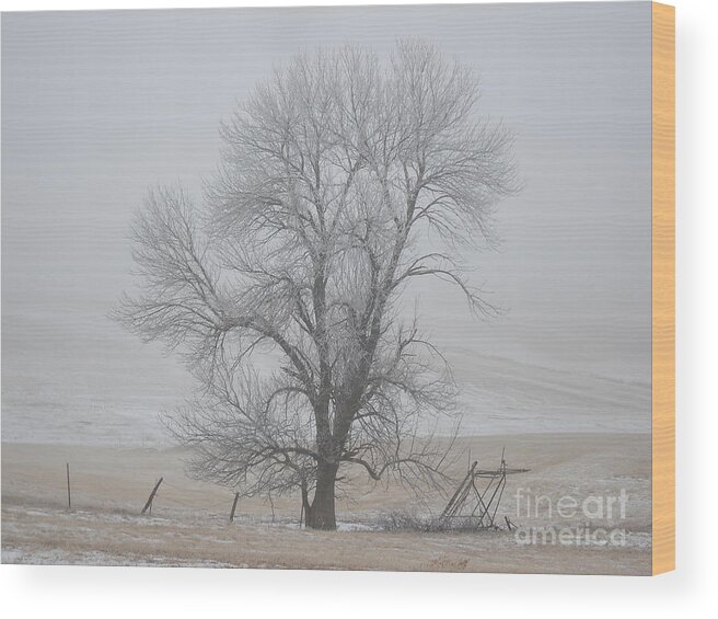 Trees Wood Print featuring the photograph The Ash Tree by J L Zarek