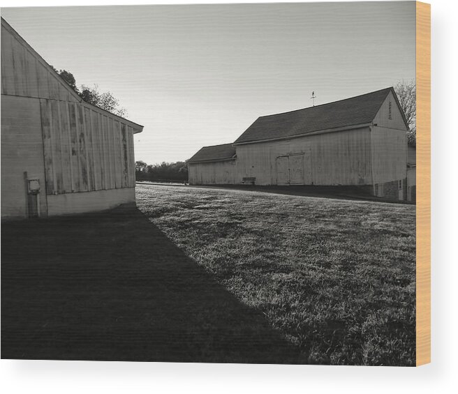 Barn Wood Print featuring the photograph The Barns by Cathy Anderson