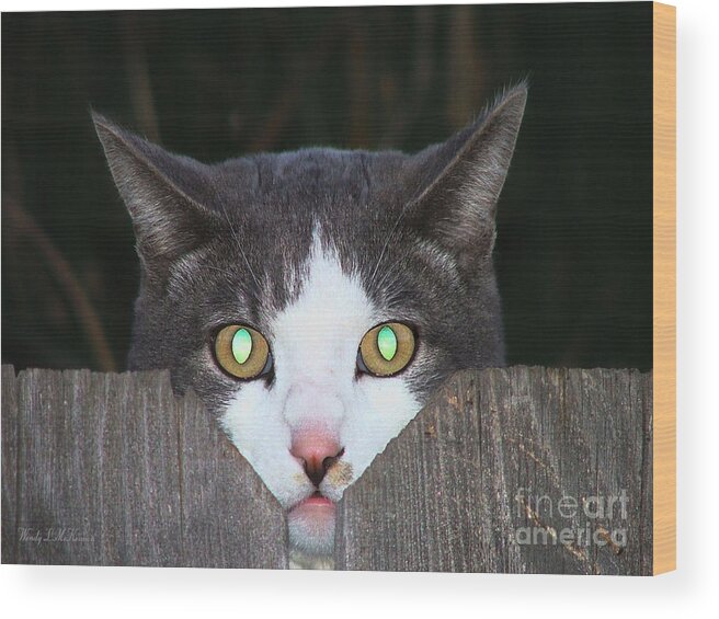 Cat Canvas Prints Wood Print featuring the photograph The Cat's MEOW by Wendy McKennon