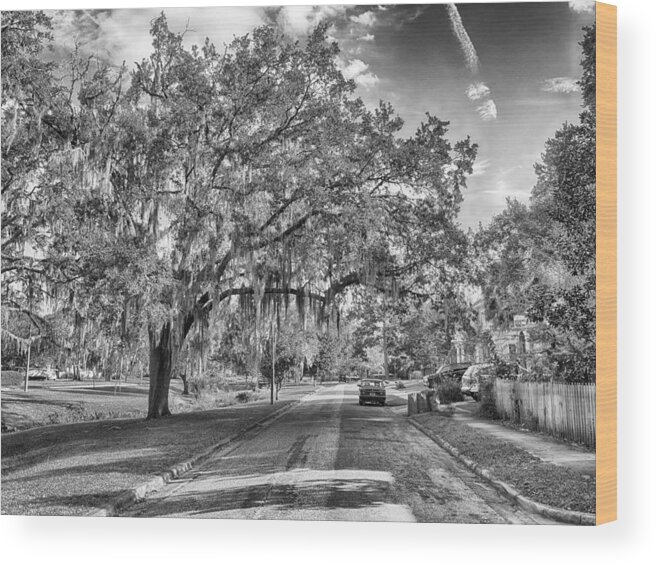 Gainesville Wood Print featuring the photograph The Duck Pond Area by Howard Salmon