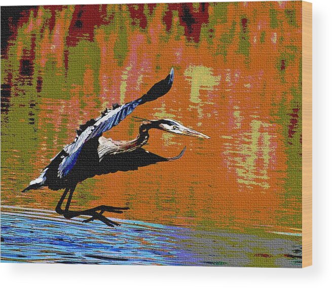 The Great Blue Heron Wood Print featuring the photograph The Great Blue Heron Jumps To Flight by Tom Janca