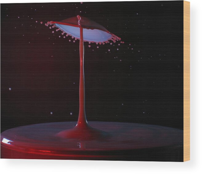 Water Drops Wood Print featuring the photograph The Lamp by Kevin Desrosiers