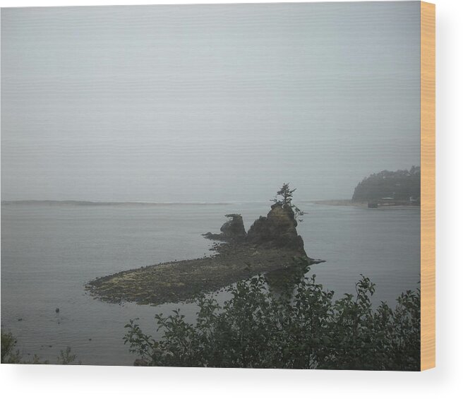 Landscape Wood Print featuring the photograph The Little Island by Marian Jenkins