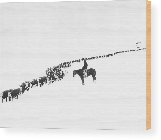 1920s Wood Print featuring the photograph The Long Long Line by Underwood Archives Charles Belden