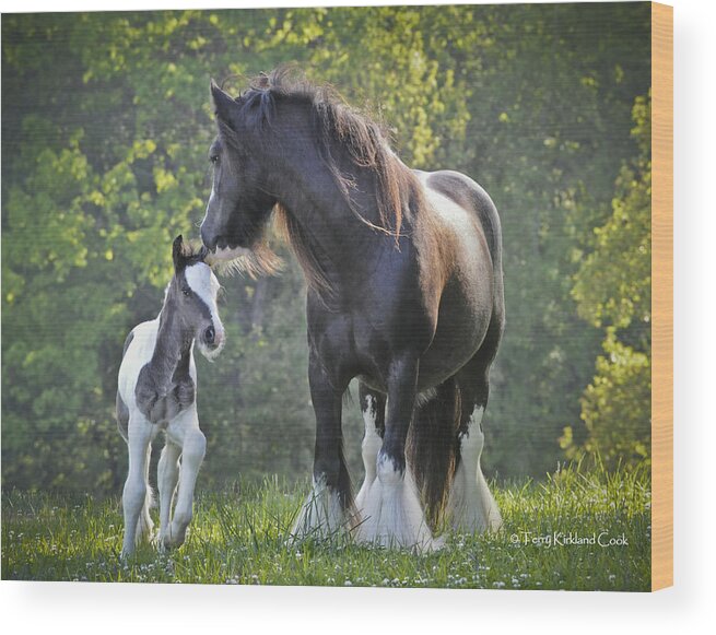 Equine Wood Print featuring the photograph The Nurturing Mother by Terry Kirkland Cook