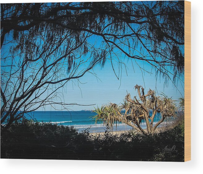 Beach Wood Print featuring the digital art The Old Tree by Janice OConnor