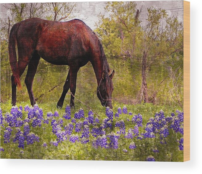 Horse Wood Print featuring the photograph The Pasture by Kathy Churchman