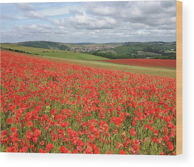 Outdoors Wood Print featuring the photograph The Poppies Are Popping by Larigan - Patricia Hamilton