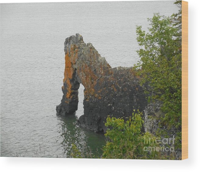 Rock Formations Wood Print featuring the photograph The Sealion by Wild Rose Studio