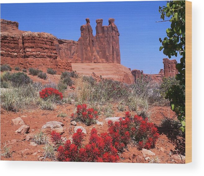The Wood Print featuring the photograph The Three Gossips by Tranquil Light Photography