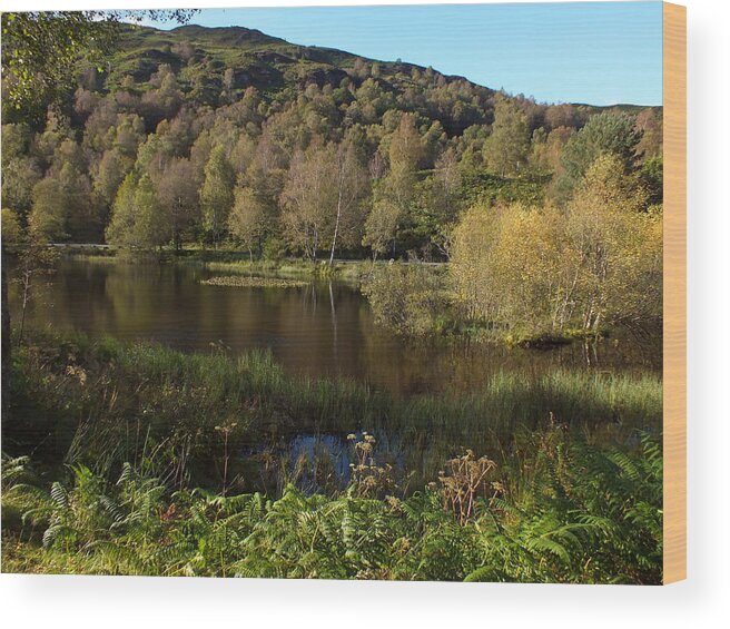 Loch Achray Wood Print featuring the photograph The Trees By The Loch by John Topman