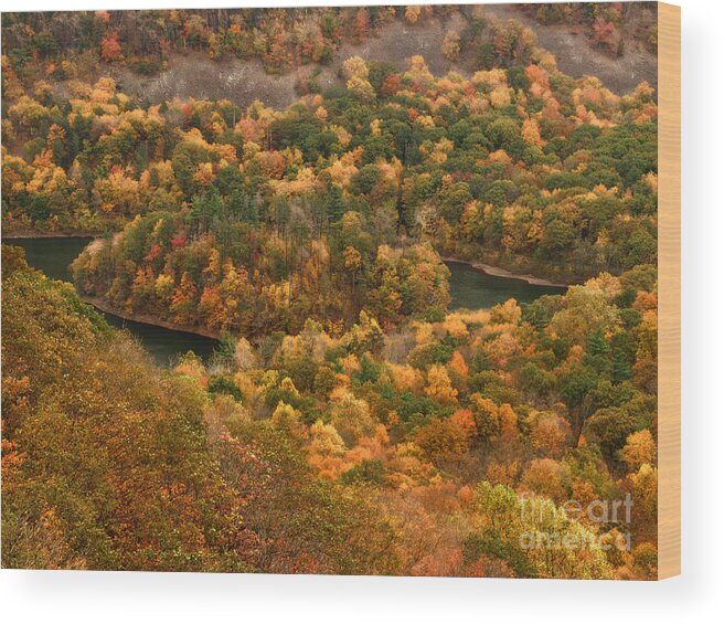 Fall Wood Print featuring the photograph The view On top of castle craig by Raymond Earley