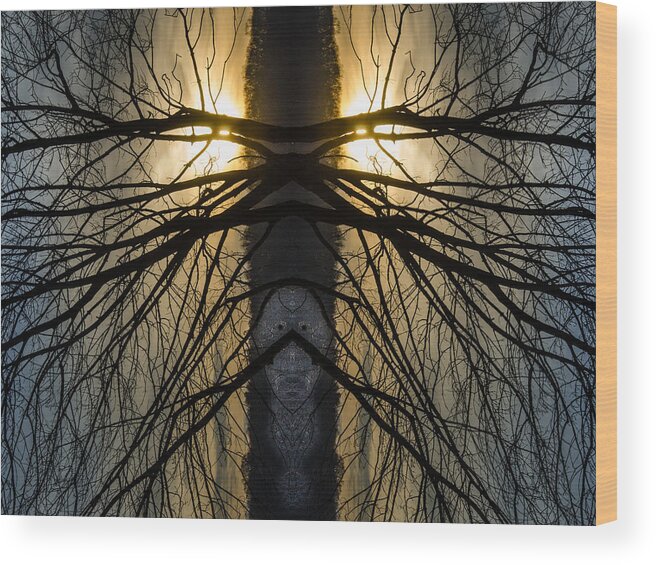 Abstract Wood Print featuring the photograph The Watchers by Jennifer Kano