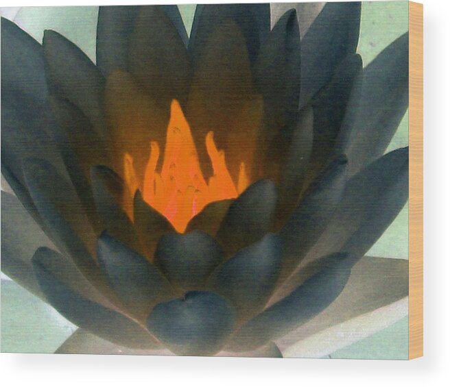Water Lilies Wood Print featuring the photograph The Water Lilies Collection - PhotoPower 1038 by Pamela Critchlow