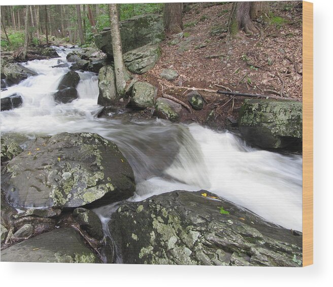 Bushkill Wood Print featuring the photograph The Watering Place by Richard Reeve