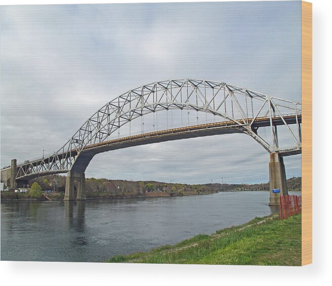 Landscape Wood Print featuring the photograph This Way to the Cape by Barbara McDevitt