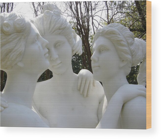 Formal Garden Wood Print featuring the photograph Three Sisters by Caryl J Bohn