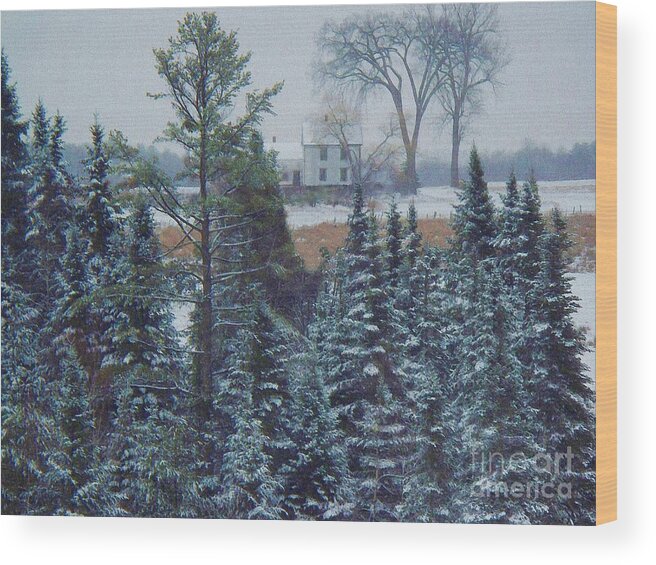 Photography Wood Print featuring the photograph Through The Trees by Joy Nichols