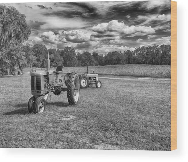 Landscape Wood Print featuring the photograph Tractors by Howard Salmon