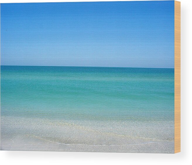 Sand Key Wood Print featuring the photograph Tranquil Gulf Pond by David Nicholls