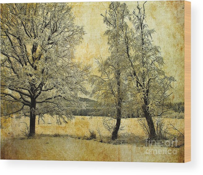 Digital Art Wood Print featuring the photograph Tranquility of the Cold by Edmund Nagele FRPS