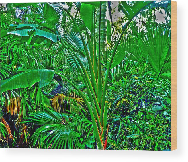 Bamboo Wood Print featuring the photograph Tropical Garden by Joe Roache