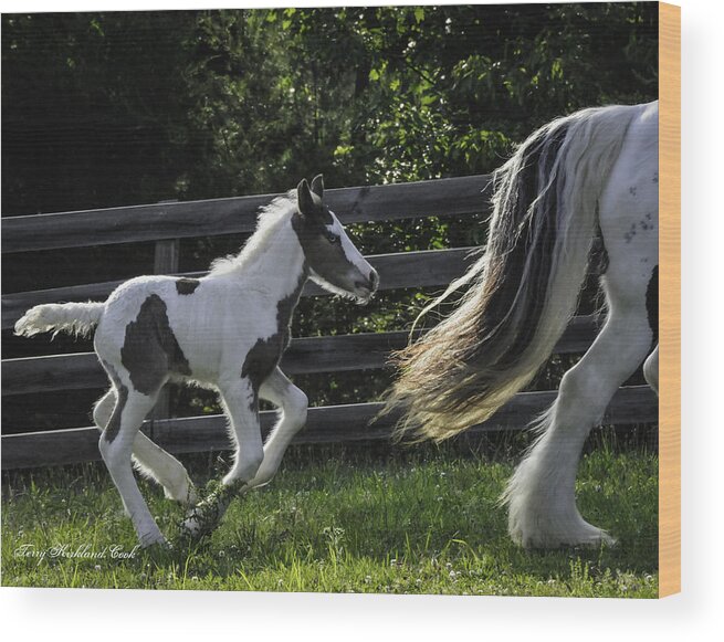 Horse Wood Print featuring the photograph Trying to Catch Up by Terry Kirkland Cook