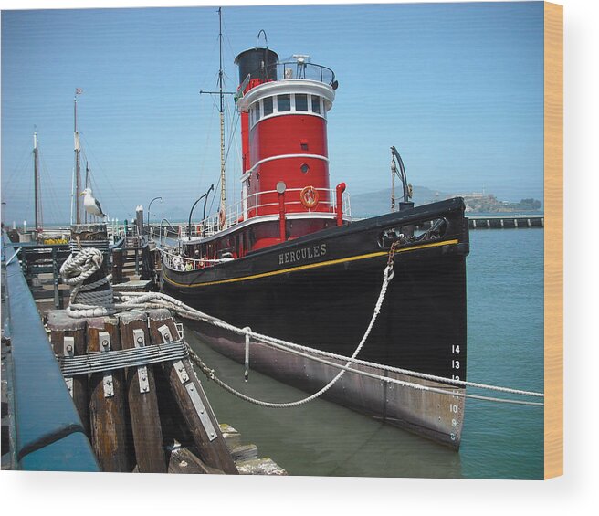 Seagull Wood Print featuring the photograph Tug Boat by Carlos Diaz