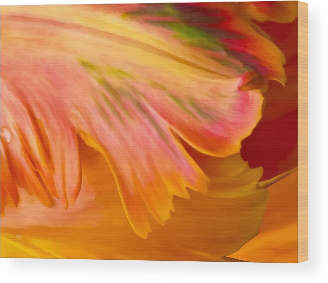 Flowers Wood Print featuring the photograph Tulip Abstract by Betty Eich