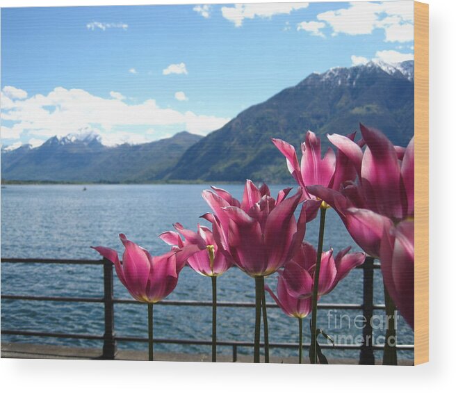 Sky Wood Print featuring the photograph Tulips at Lake Geneva by Amanda Mohler