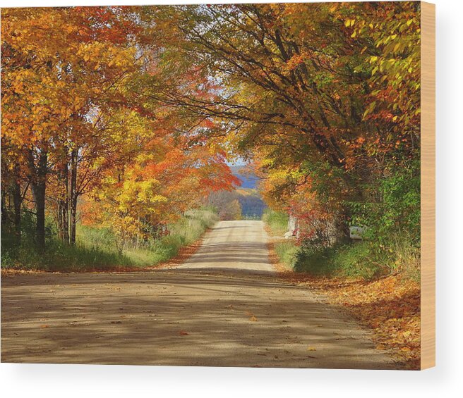 Michigan Back Road Wood Print featuring the photograph Tunnel of Trees by Kathleen Luther