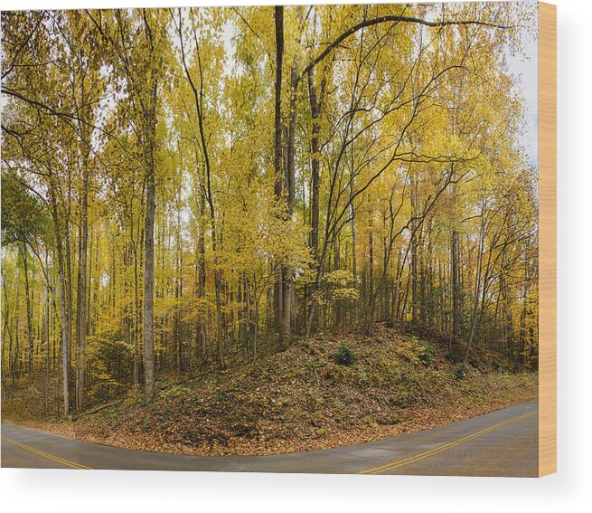 Autumn Wood Print featuring the photograph Turned the Brights On by Heather Applegate