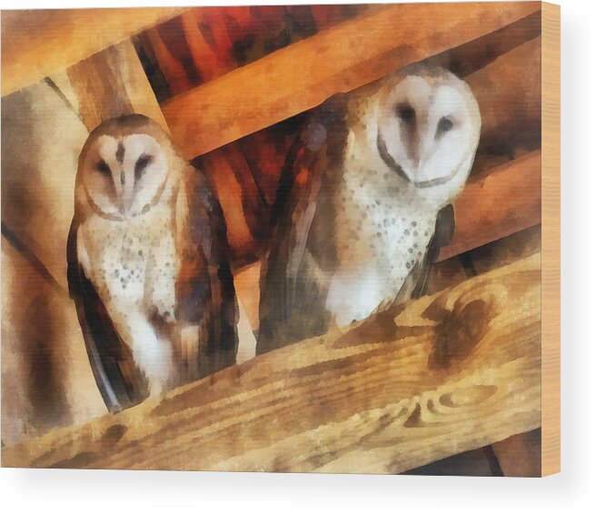 Owl Wood Print featuring the photograph Two Barn Owls by Susan Savad
