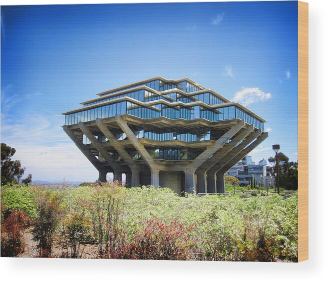 Geisel Wood Print featuring the photograph UCSD Geisel Library by Nancy Ingersoll