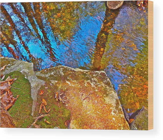 Landscape Wood Print featuring the photograph Upland Trail 2014 106 by George Ramos