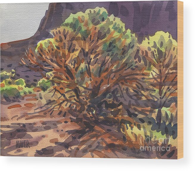 Juniper Wood Print featuring the painting Utah Juniper by Donald Maier