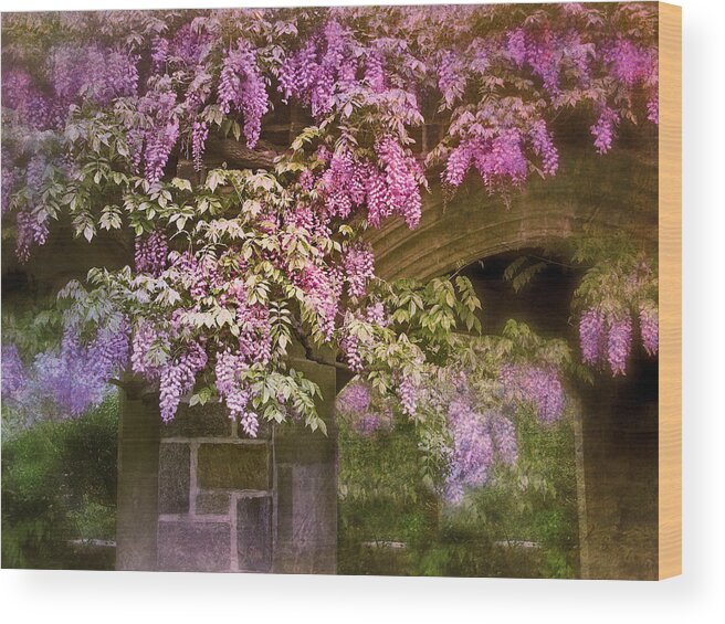 Flowers Wood Print featuring the photograph Vintage Wisteria by Jessica Jenney