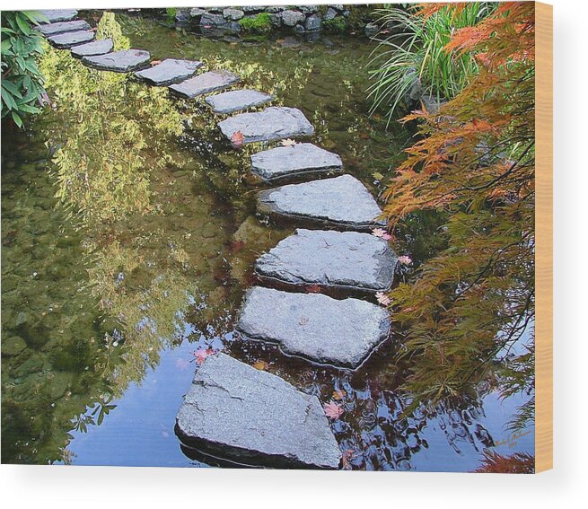 Ponds Wood Print featuring the photograph Walk On Water by Wendy McKennon