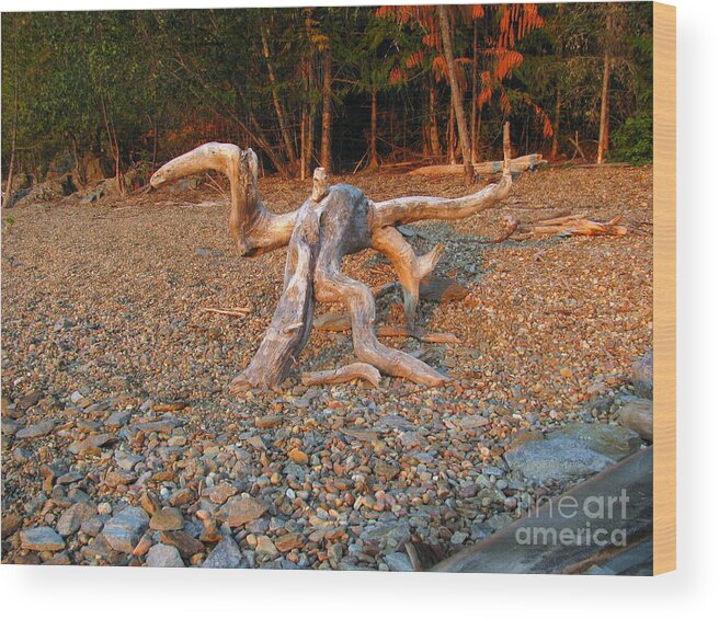 Driftwood Wood Print featuring the photograph Walking On The Beach by Leone Lund