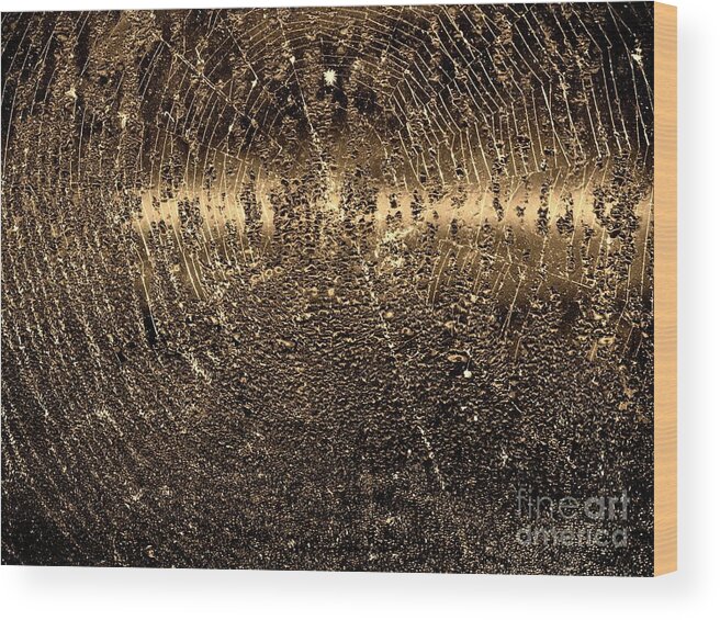 Spider Wood Print featuring the photograph Water Droplets on Spiderweb by John Harmon