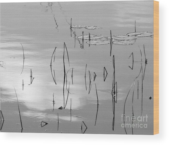 Water Lillies Wood Print featuring the photograph Water lillies by Marietjie Du Toit