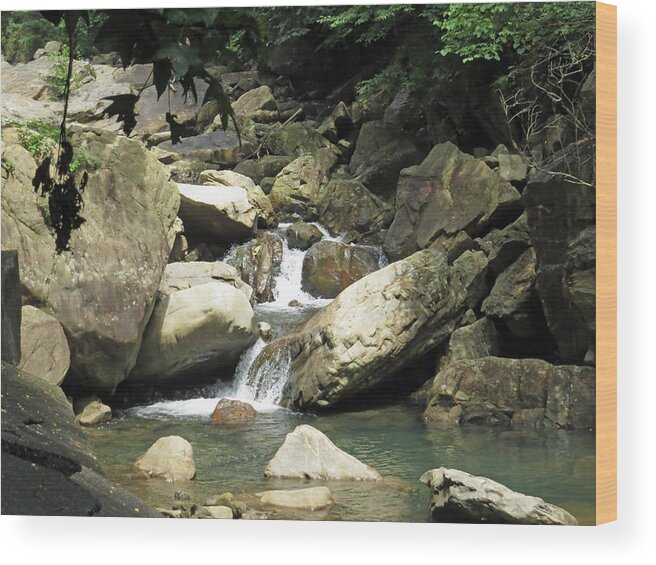 Suck Creek Wood Print featuring the photograph Water trickles by Aaron Martens