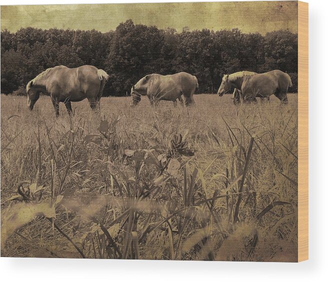Horse Wood Print featuring the photograph We're a Team by Scott Kingery
